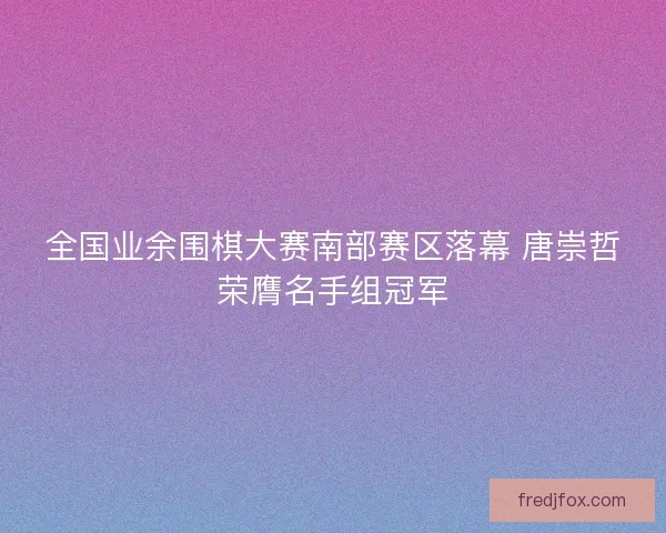 全国业余围棋大赛南部赛区落幕 唐崇哲荣膺名手组冠军