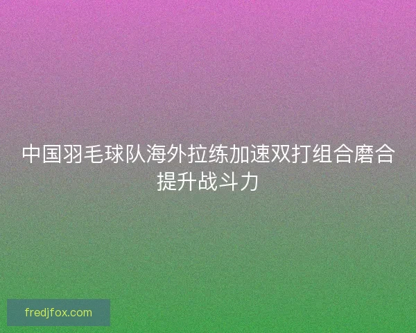 中国羽毛球队海外拉练加速双打组合磨合提升战斗力